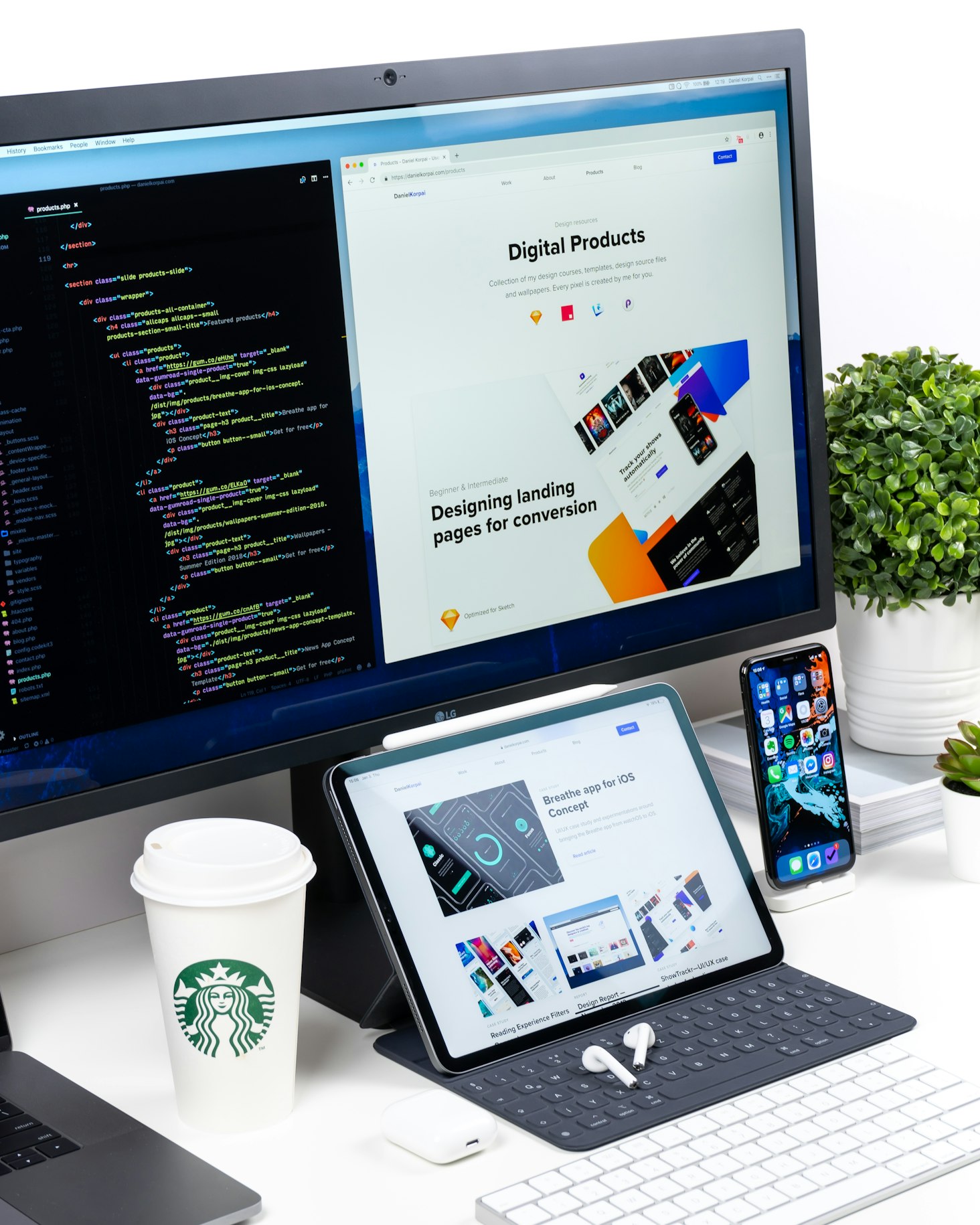 Web Development visualization